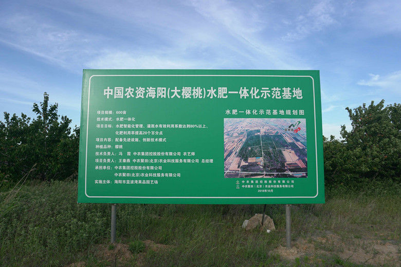 图三_副本780