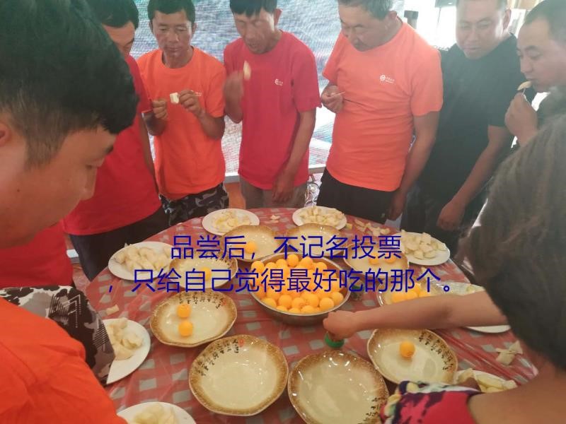图片2