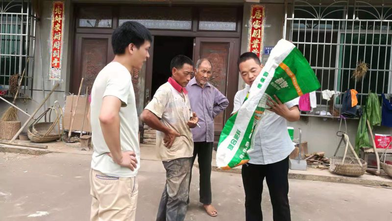 图八