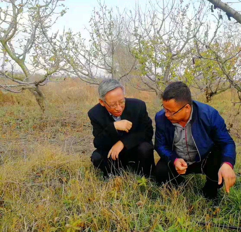 杨主任1
