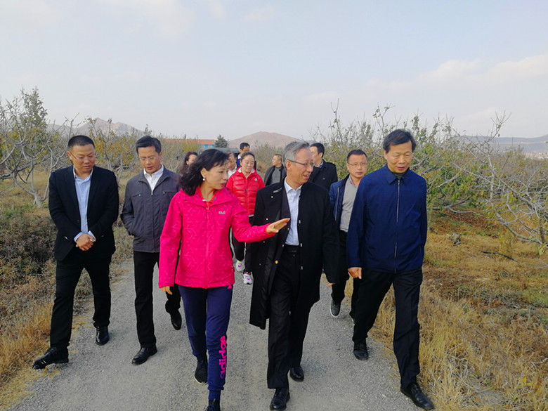 杨主任2