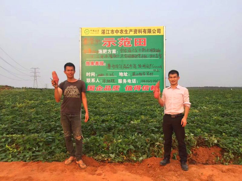 湛江威廉希尔副本