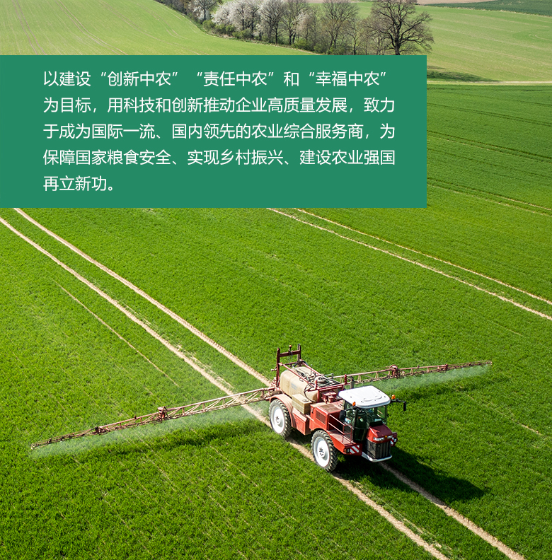 发展规划2024