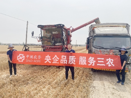 三夏大忙助丰收系列1：田间助农，颗粒尽收